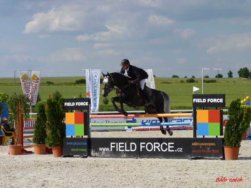 Horse and Rider Jumping
