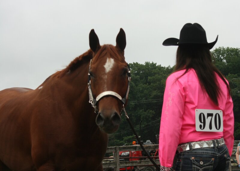 Horse and Rider
