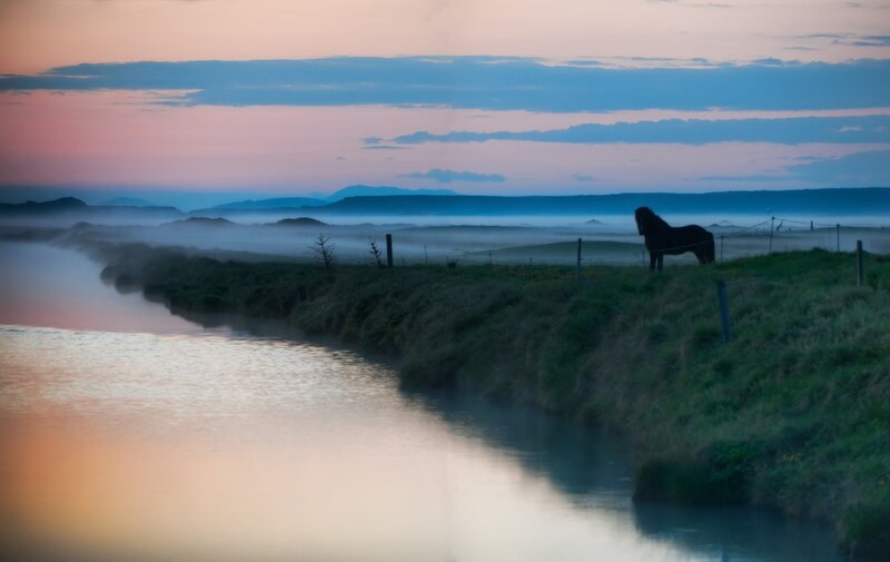 Horse at dawn by a misty river