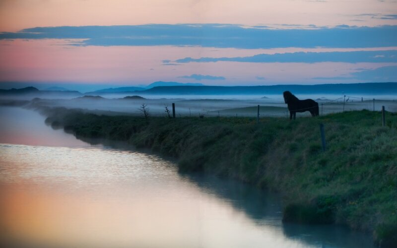 Horse at dawn by a misty river