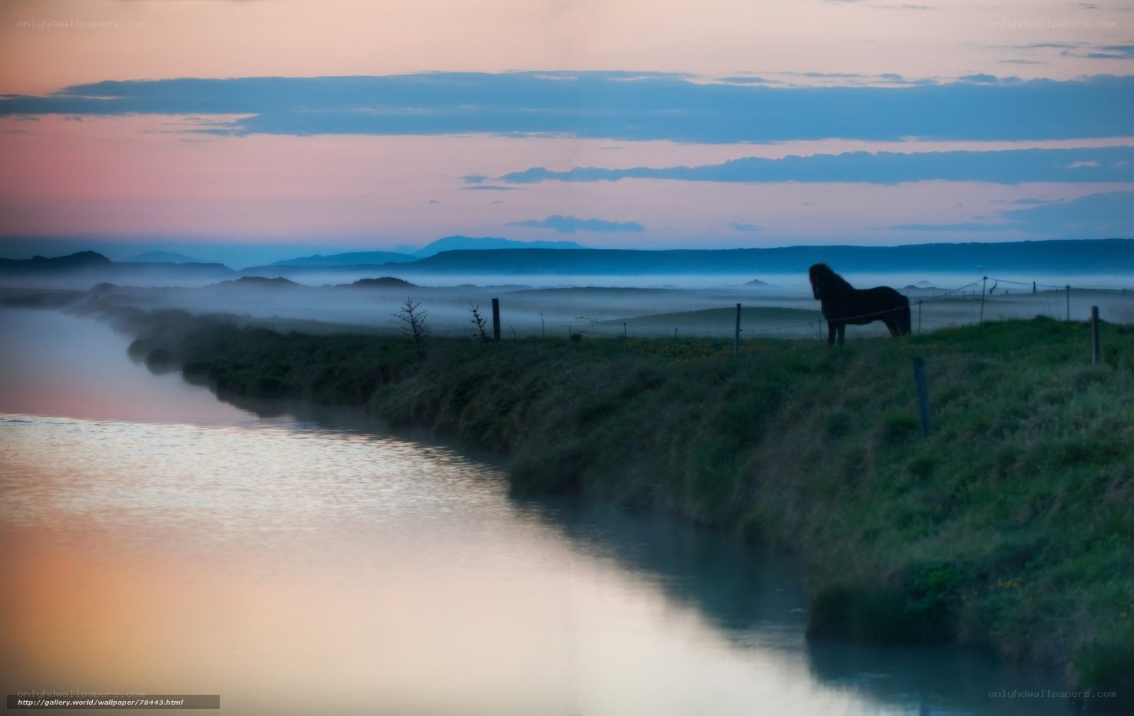 Horse at dawn by a river