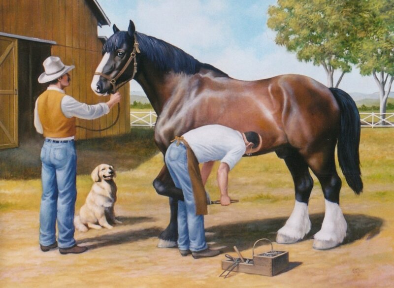 Horse being shoed on farm