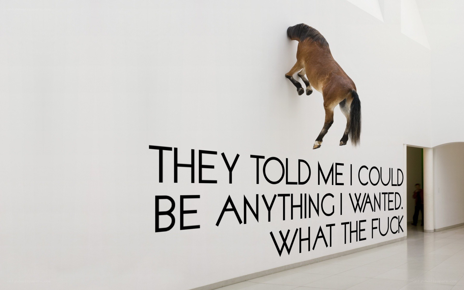 horse climbing wall art