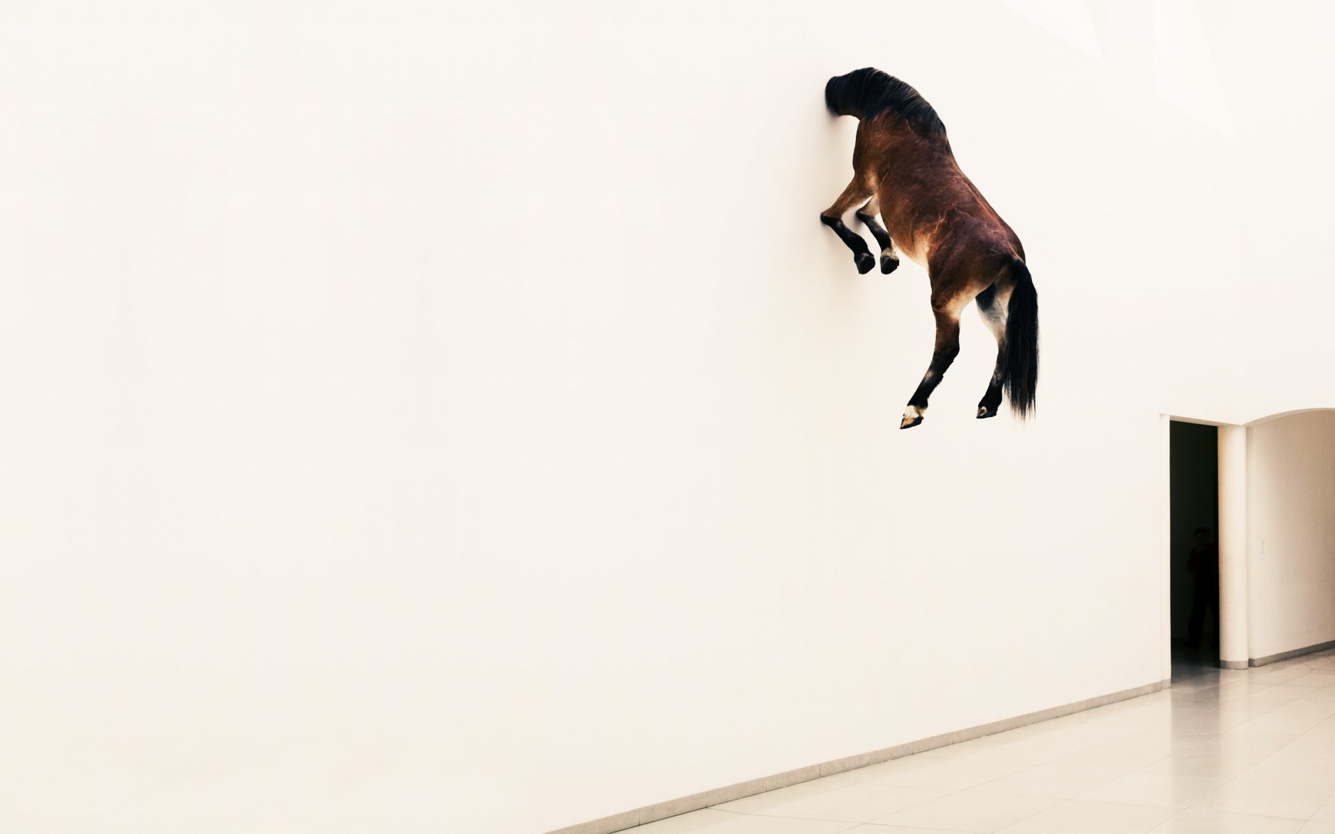 horse climbing wall sculpture