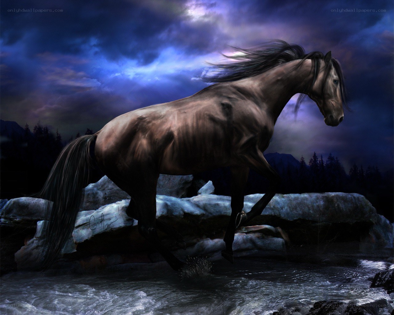 horse crossing a river at night