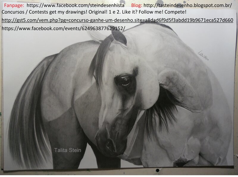 Horse Drawing