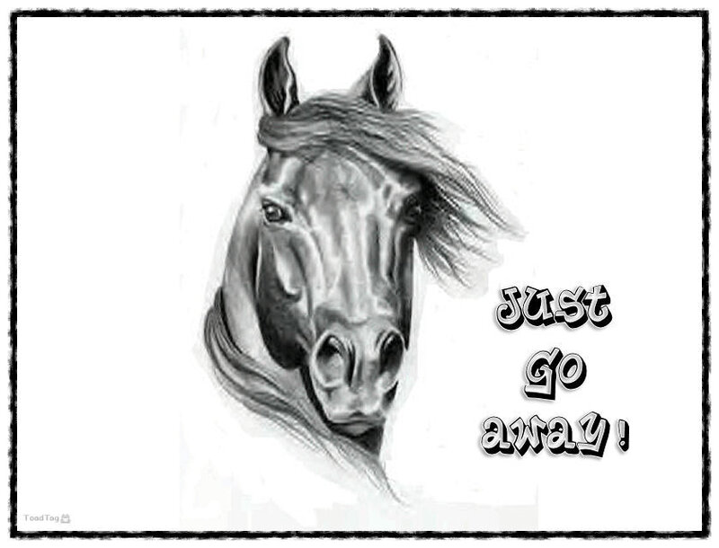 horse drawing with text