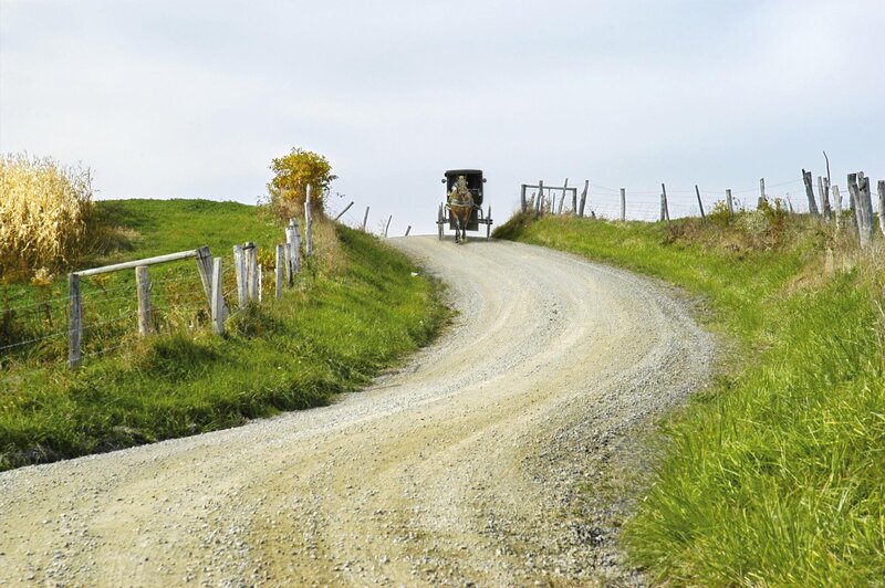 Horse-drawn Buggy on Road — Green
