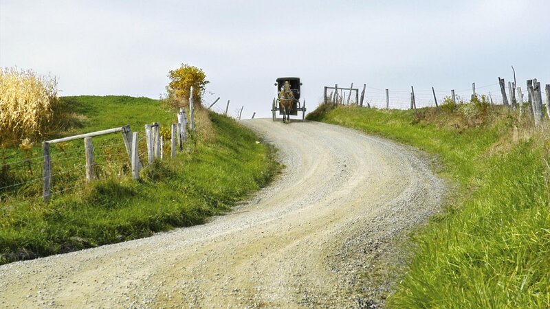 Horse-drawn Buggy on Road
