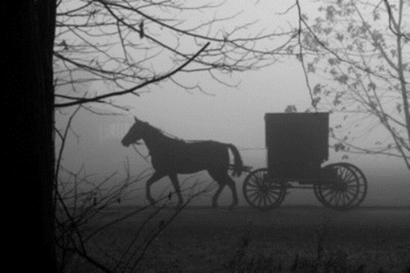 Horse-drawn Buggy