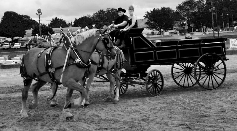 Horse-drawn Carriage — Black, Dramatic, Afternoon