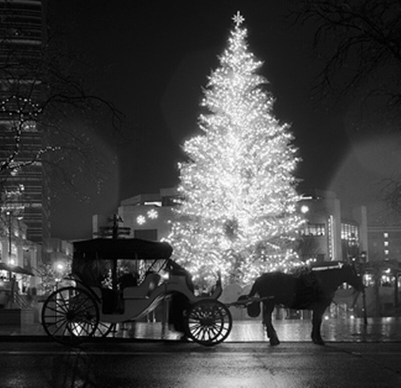 Horse-drawn Carriage — Black, Festive
