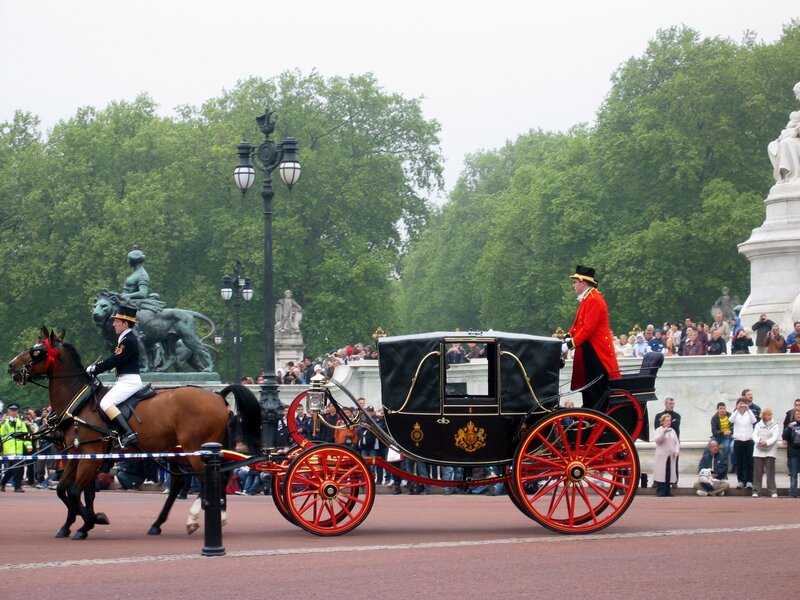 Horse-drawn Carriage — Black, Formal, Afternoon