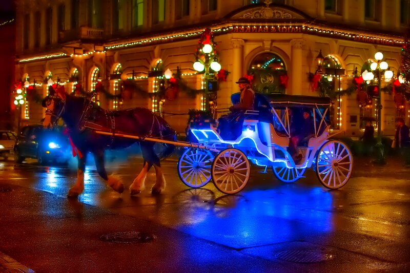 Horse-drawn Carriage — Blue, Festive