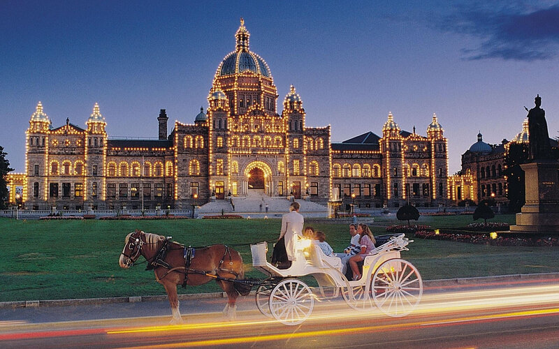 Horse-drawn Carriage — Blue, Serene, Night