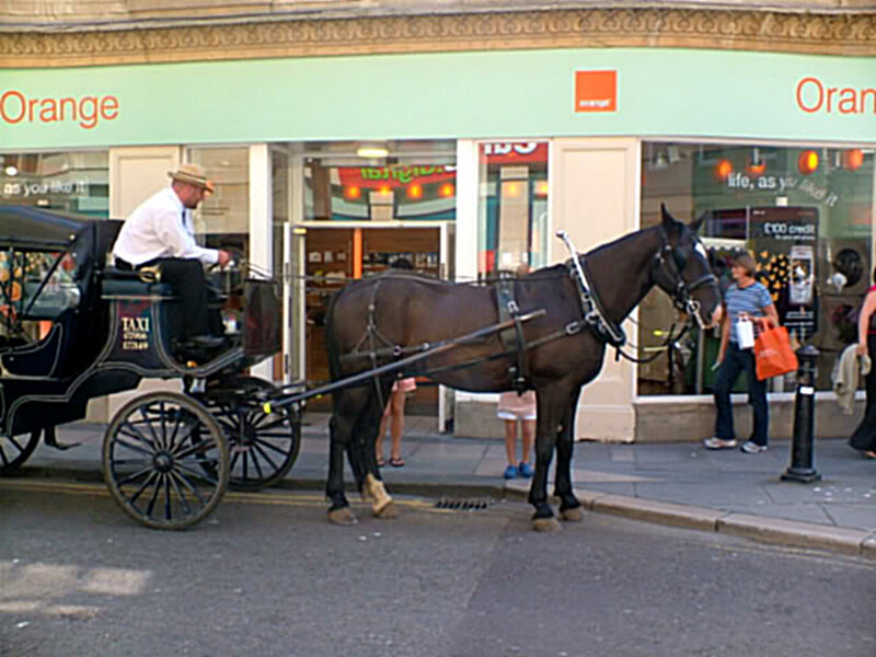 Horse-drawn Carriage — Brown, Calm
