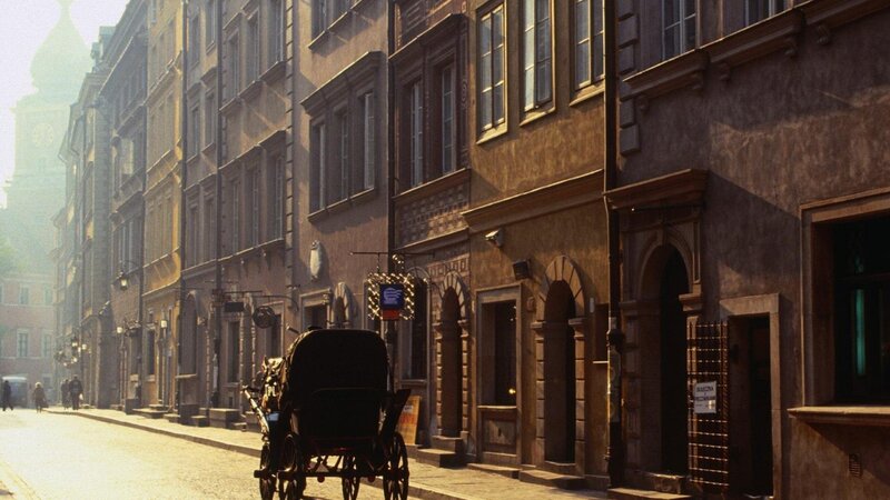 Horse-drawn Carriage — Brown, Serene, Morning