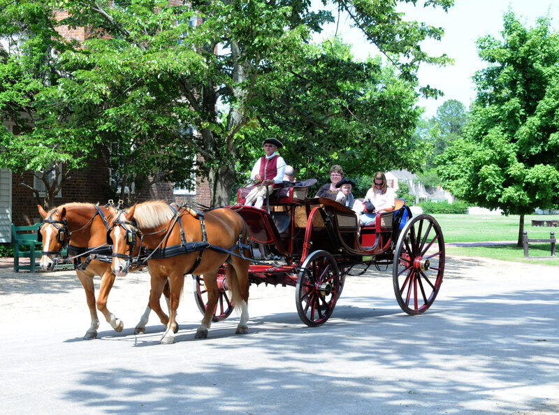 Horse-drawn Carriage — Brown, Serene, Summer