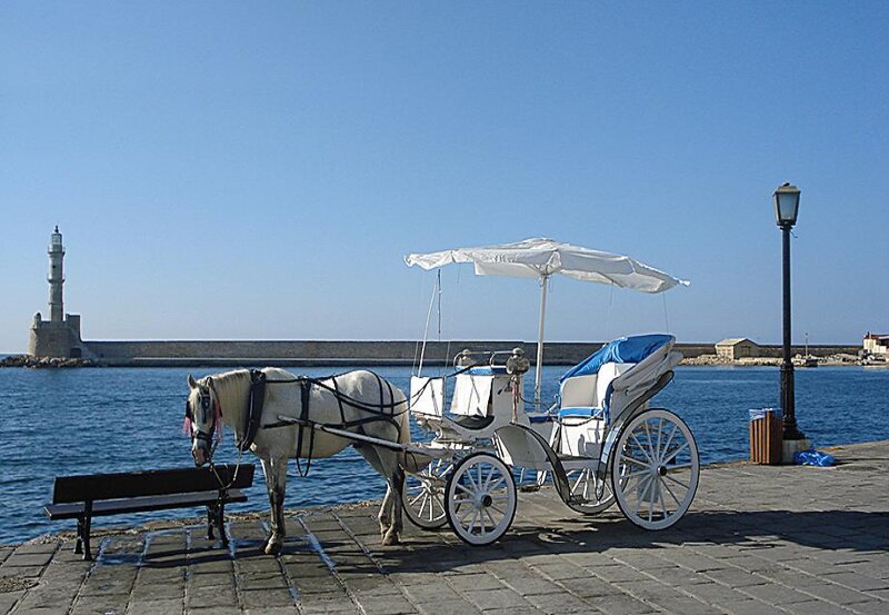Horse-drawn carriage by the harbor