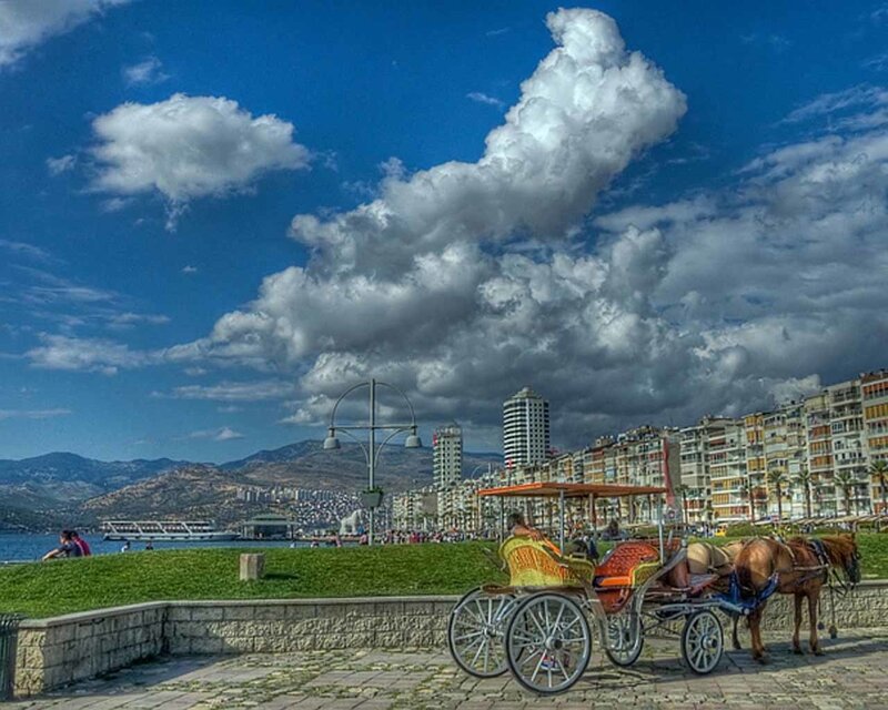 Horse-drawn carriage by the sea
