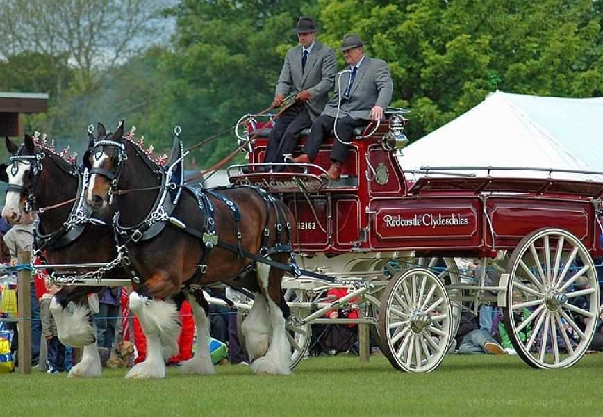 Horse-drawn carriage display