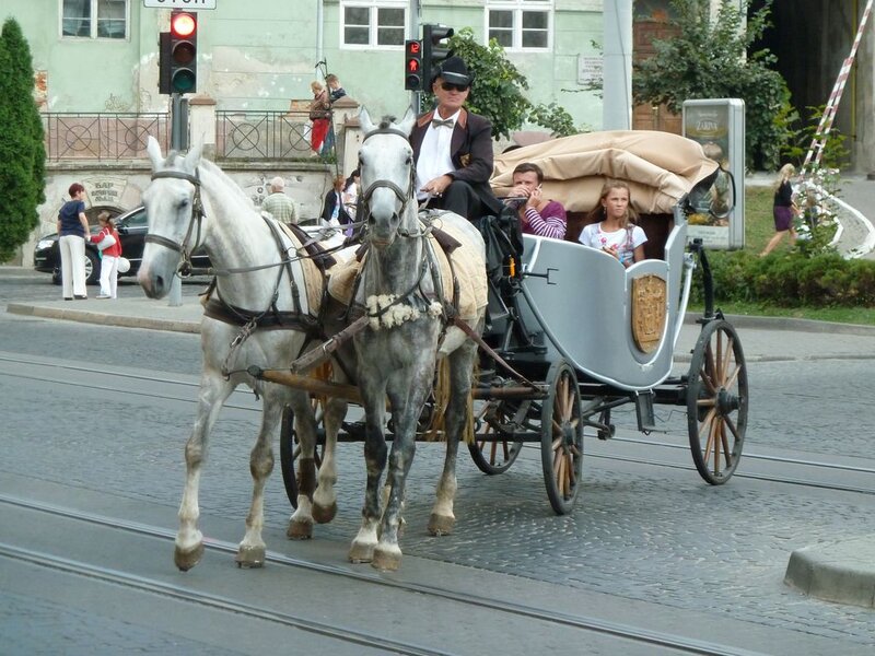 Horse-drawn Carriage — Gray, Calm