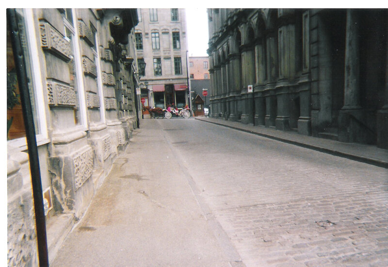 Horse-drawn Carriage — Gray, Quiet