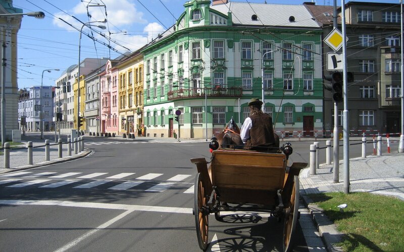 Horse-drawn Carriage — Green, Calm, Afternoon, Photograph