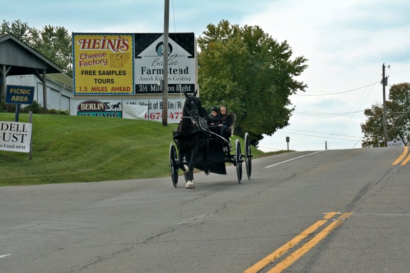 Horse-drawn Carriage — Green, Calm, Afternoon