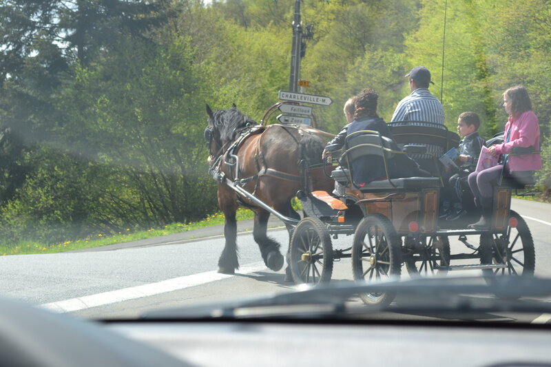 Horse-drawn Carriage — Green, Calm