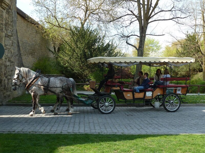Horse-drawn Carriage — Green, Serene, Spring