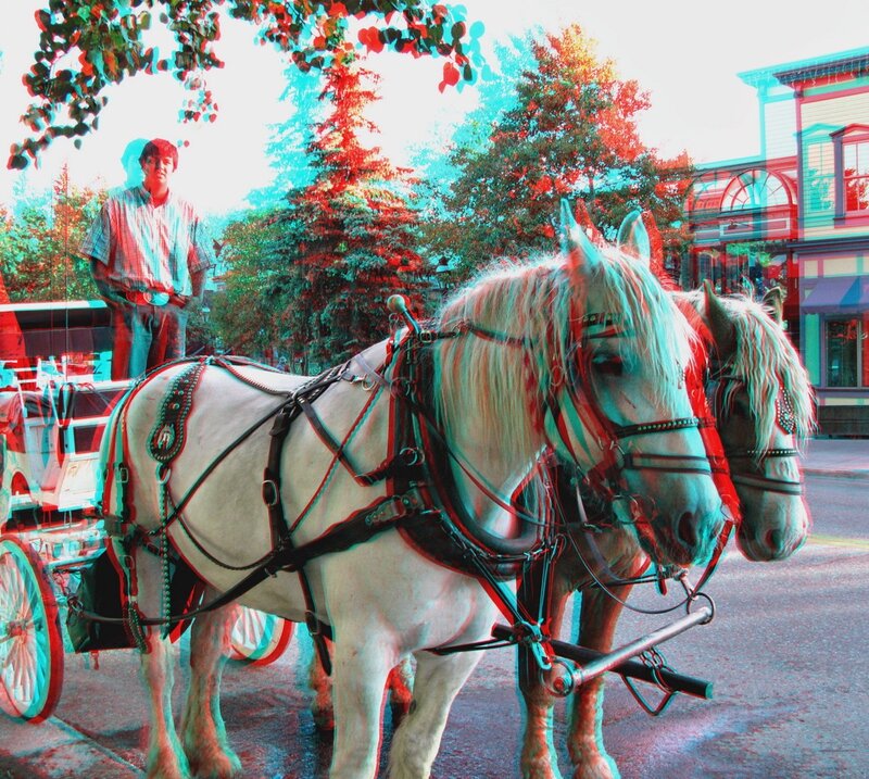 Horse-drawn carriage in 3D