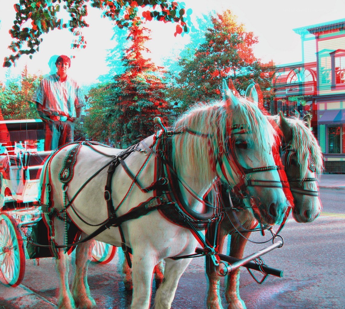 Horse-drawn carriage in 3D