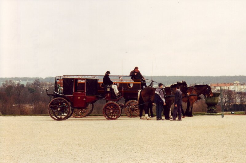 Horse-drawn carriage in a park