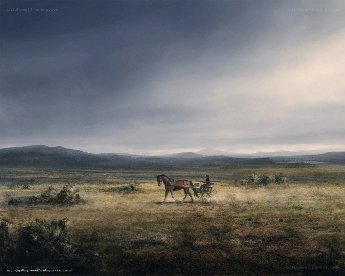 Horse-drawn carriage in a vast field