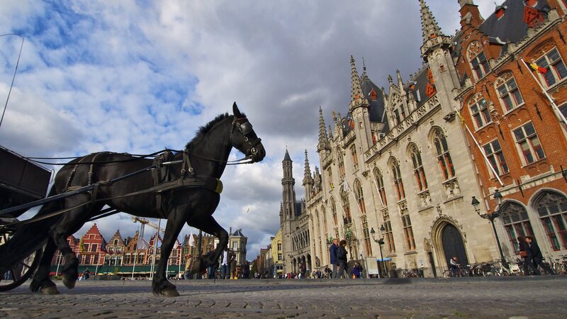 Horse-drawn carriage in Bruges