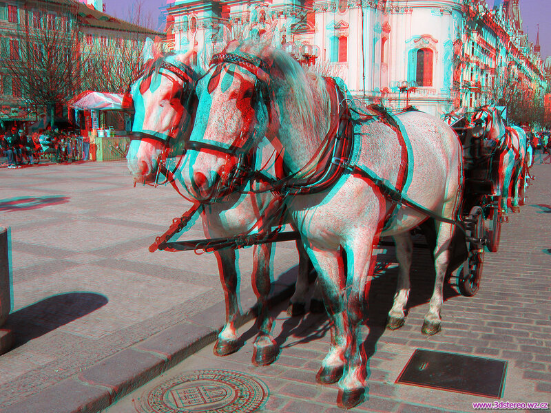 Horse-drawn carriage in city