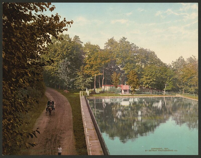 Horse-drawn carriage in Montreal park