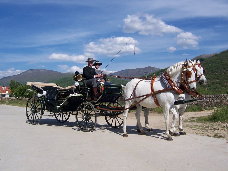 Horse-drawn carriage in mountains