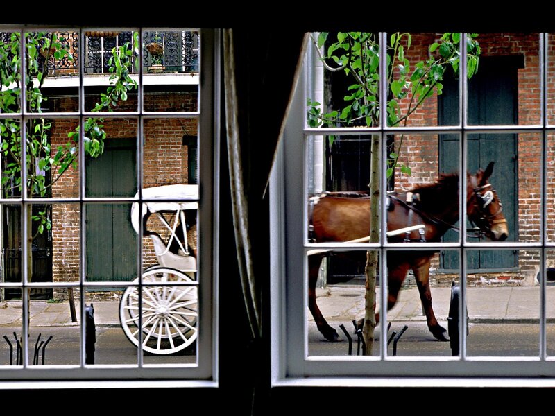 Horse-drawn carriage in New Orleans