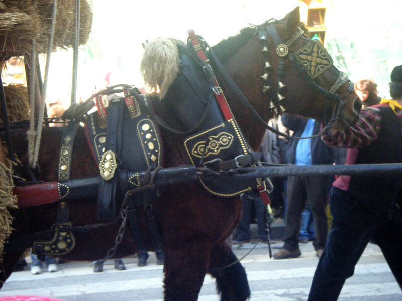 Horse-drawn carriage in parade