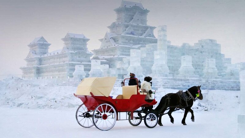 Horse-drawn carriage in snow