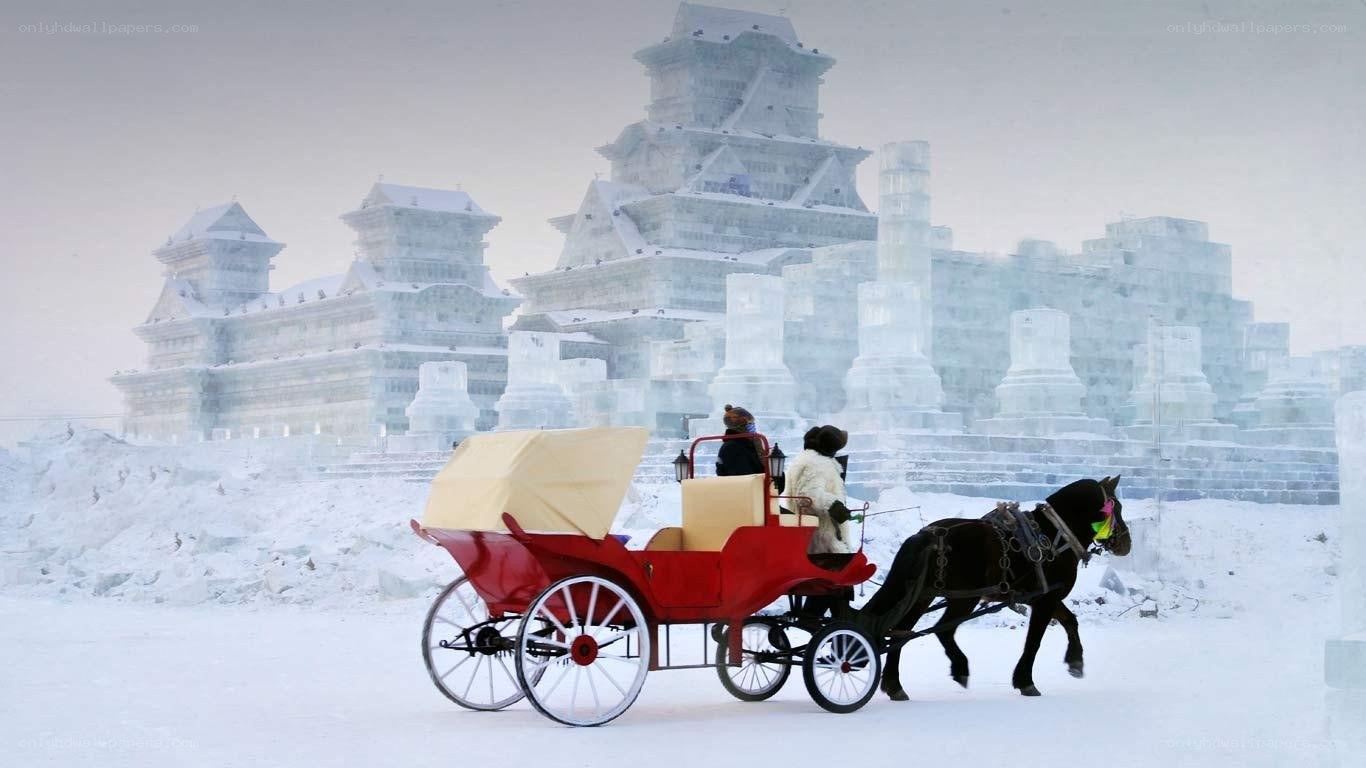 Horse-drawn carriage in snow