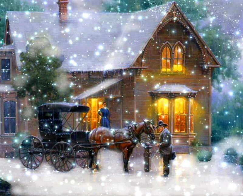 Horse-drawn Carriage in Snow — Brown
