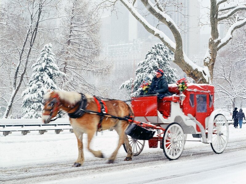 Horse-drawn Carriage in Snow — Red, Cold