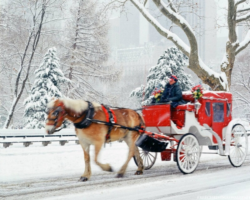 Horse-drawn Carriage in Snow — Red, Cold, Winter