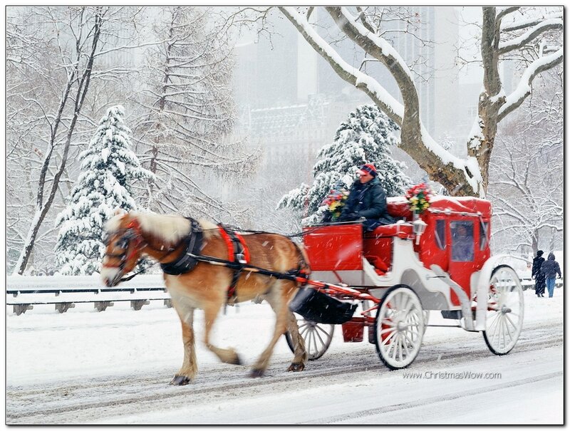 Horse-drawn Carriage in Snow — Red