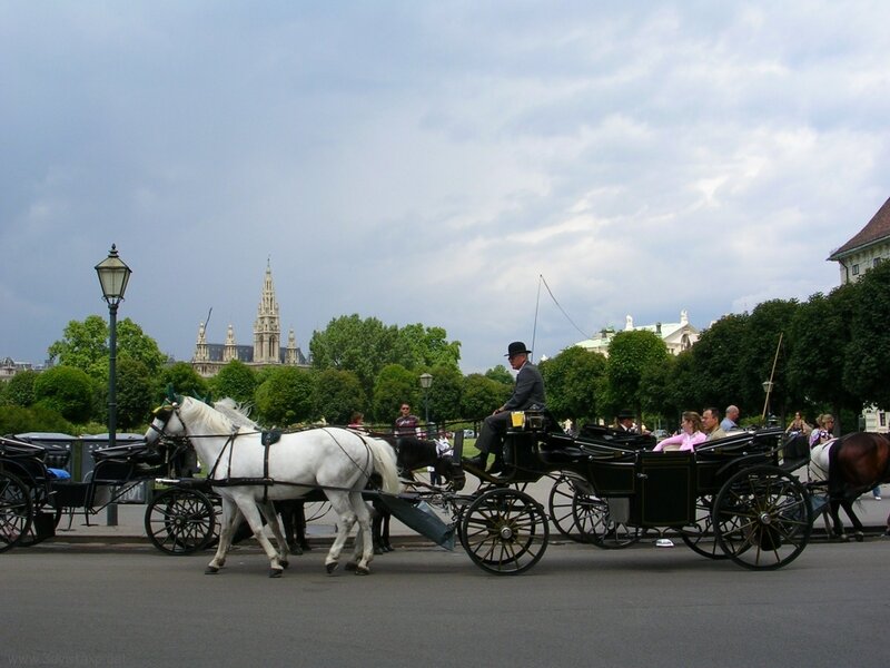 Horse-drawn carriage in Vienna