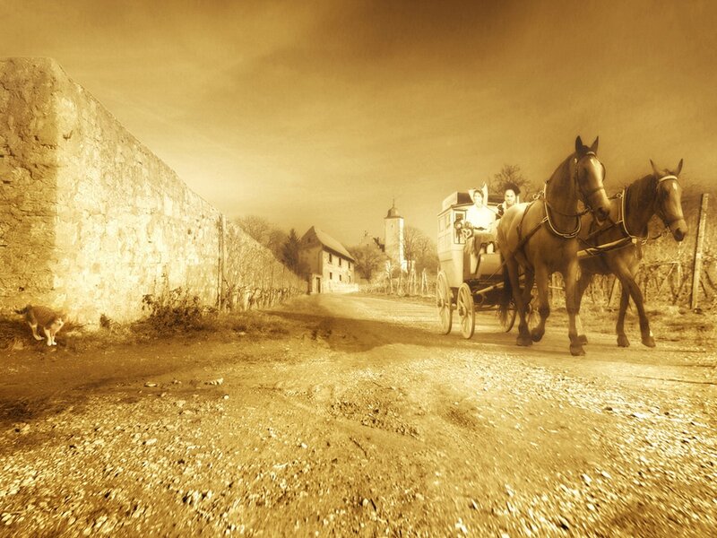 Horse-drawn carriage on a dirt road