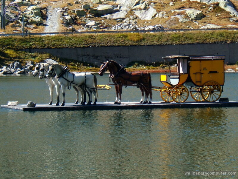 Horse-drawn carriage on a floating platform